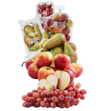 Conference peren schaal à 1 kilo,
Elstar 2 zak à 1,5 kilo
of rode pitloze druiven schaal à 500 gram